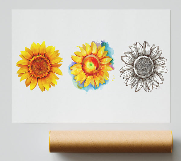 Sunflower Trio