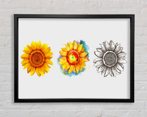 Sunflower Trio