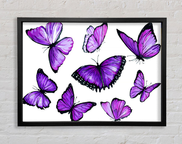 Purple Butterfly Frenzy