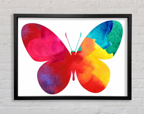 Rainbow Butterfly