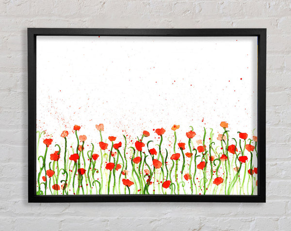 Red Poppy Garden Splash