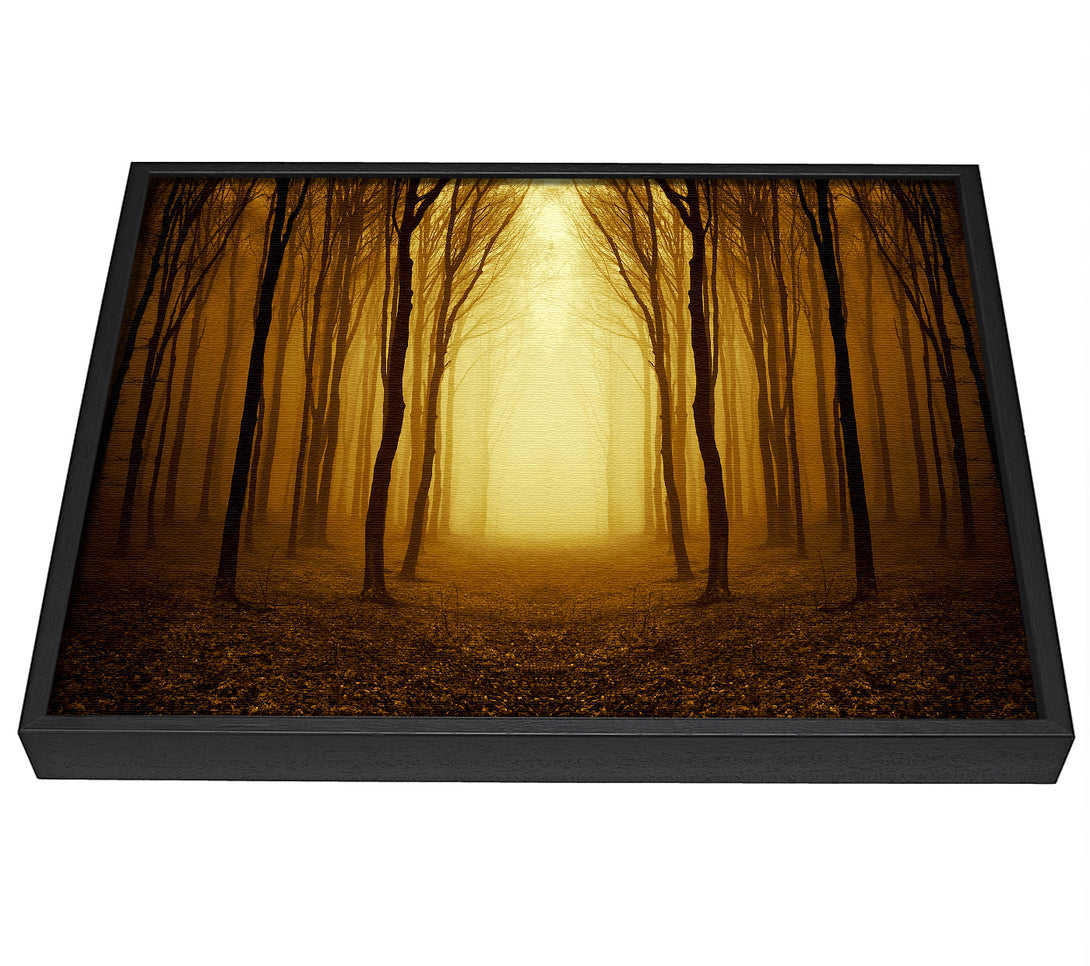 A picture of a Through The Golden Path framed canvas print sold by Wallart-Direct.co.uk