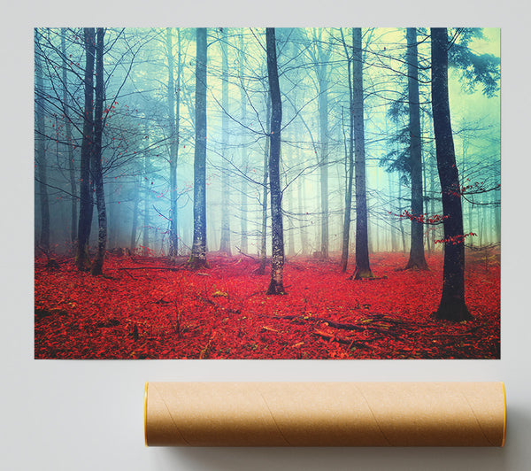 Mist In The Red Forest