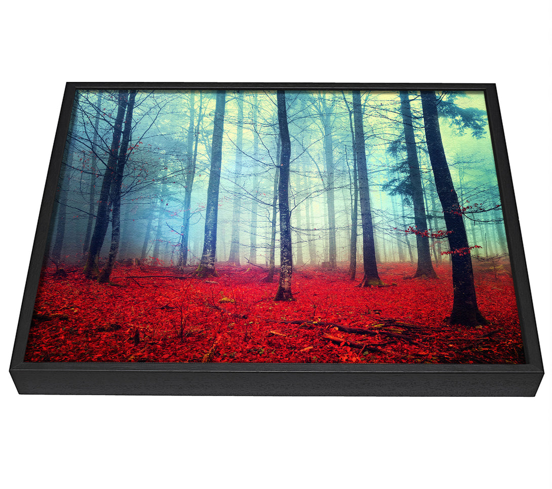 A picture of a Mist In The Red Forest framed canvas print sold by Wallart-Direct.co.uk