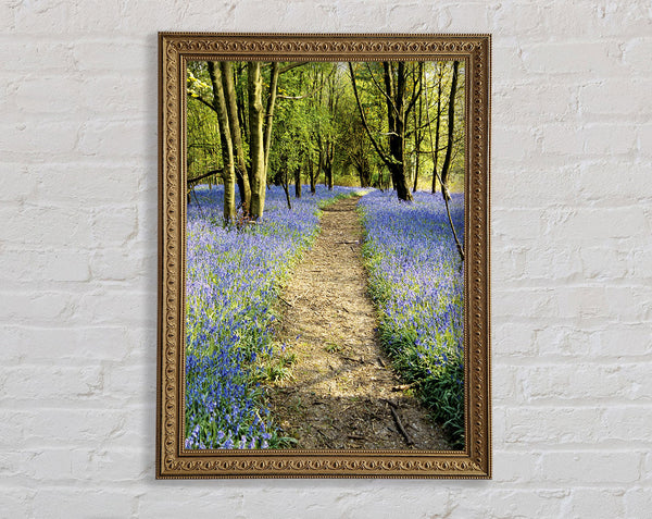 Bluebell Path