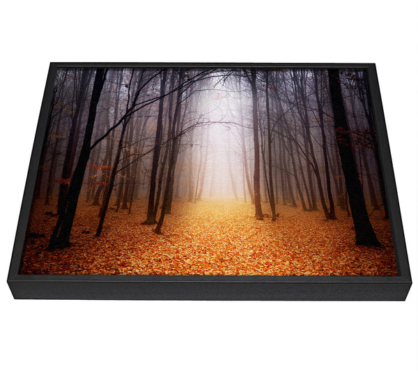 A picture of a Autumn Mist framed canvas print sold by Wallart-Direct.co.uk