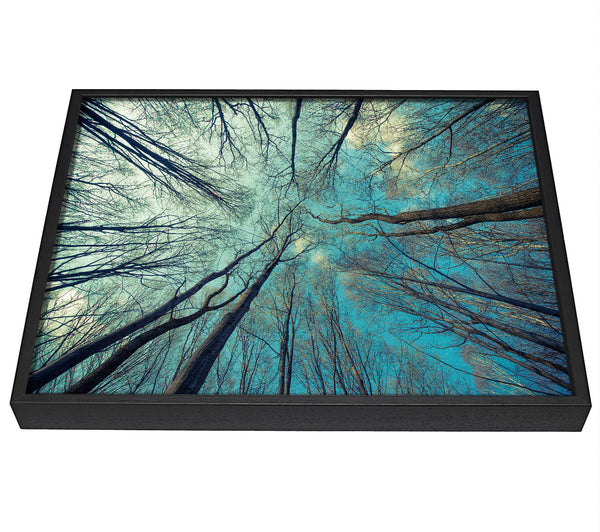 A picture of a Sky Of Trees framed canvas print sold by Wallart-Direct.co.uk