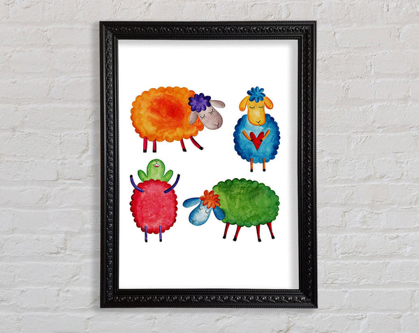 Colourful Sheep