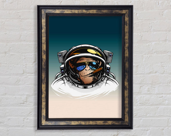 Astronaut Monkey