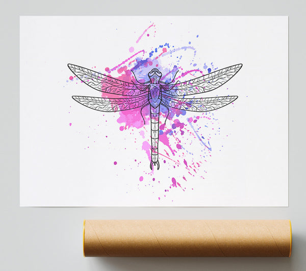 Dragonfly Splash