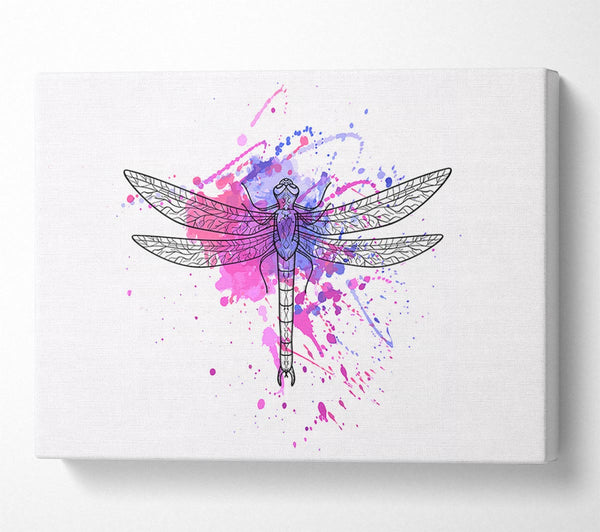 Dragonfly Splash