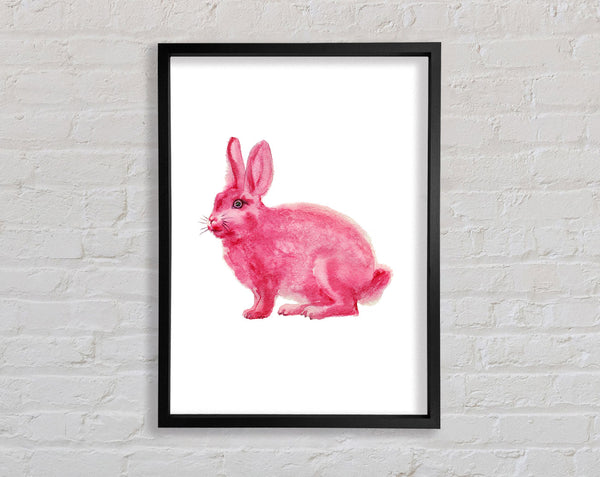 Pink Rabbit Love