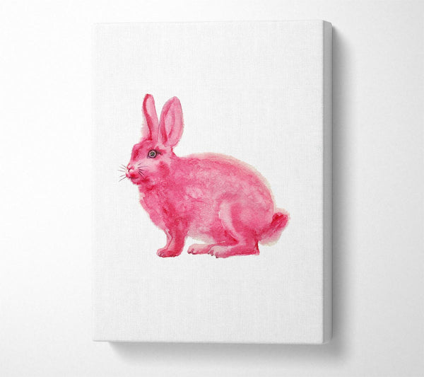 Pink Rabbit Love