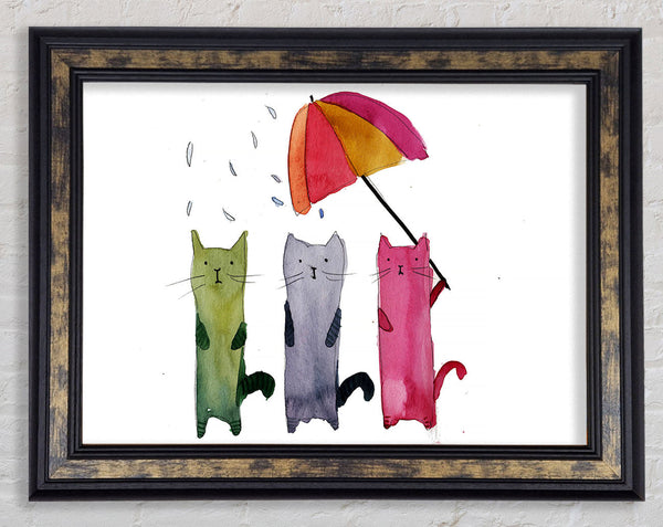 Umbrella Cats