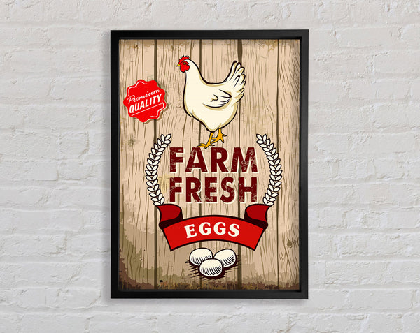 Farm Fresh Eggs