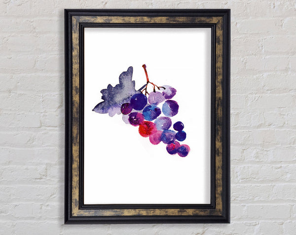 Wine Grapes