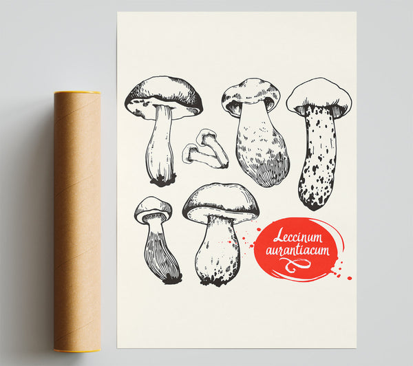 Mushrooms