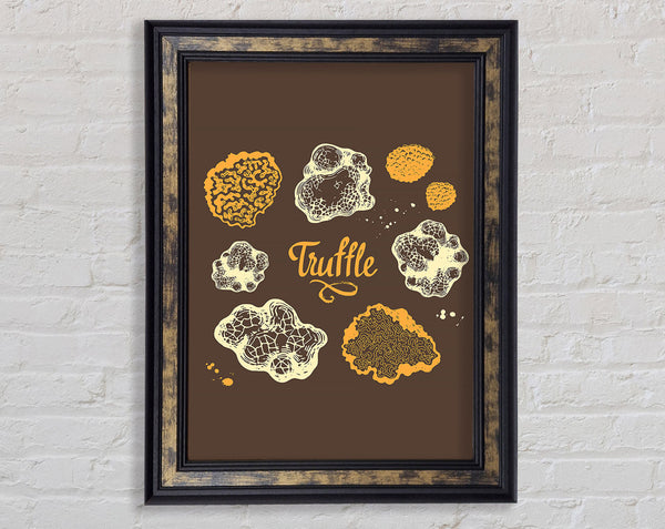 Truffle