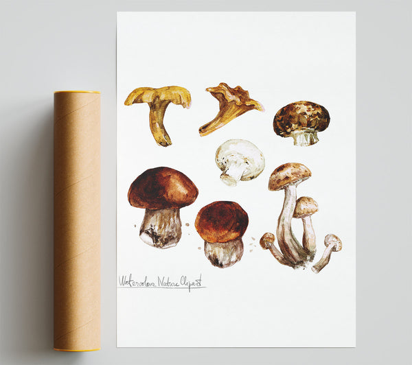 Different Types Of Mushrooms