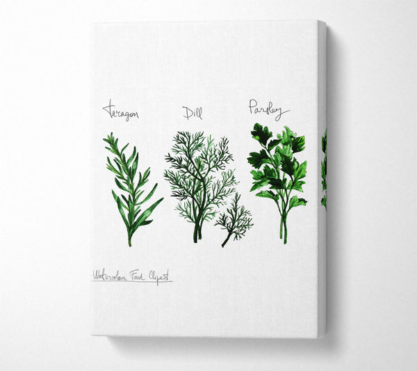 Herb Selection 1