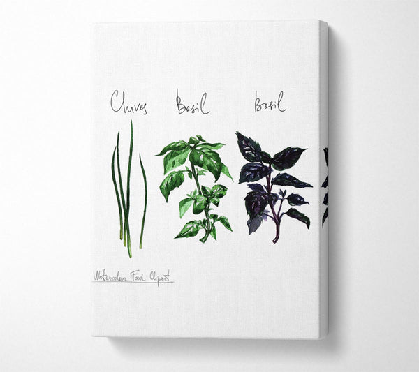 Herb Selection 4