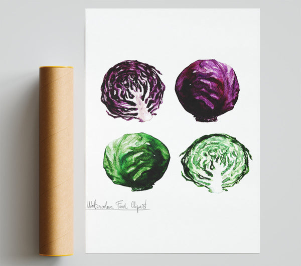 Red And Green Cabbage