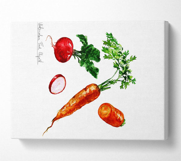 Radish And Carrots