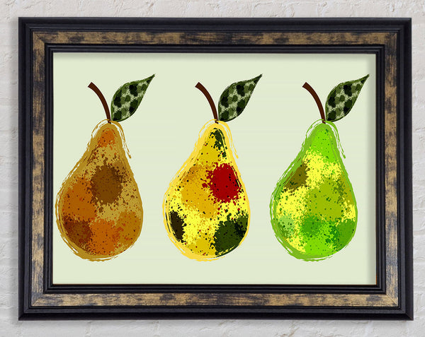 Trio Of Pears