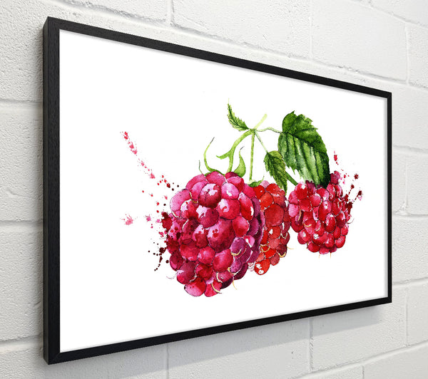 Raspberry Trio