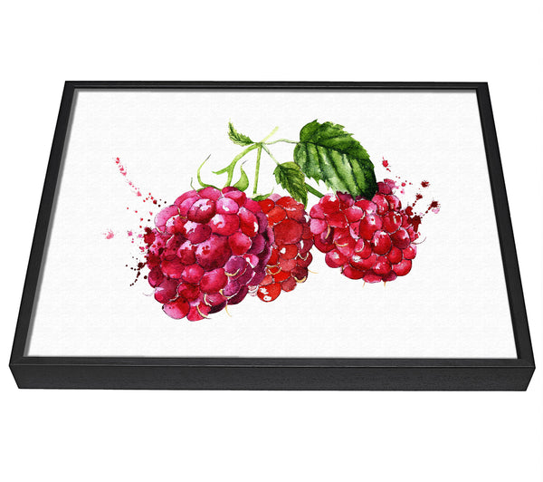 A picture of a Raspberry Trio framed canvas print sold by Wallart-Direct.co.uk