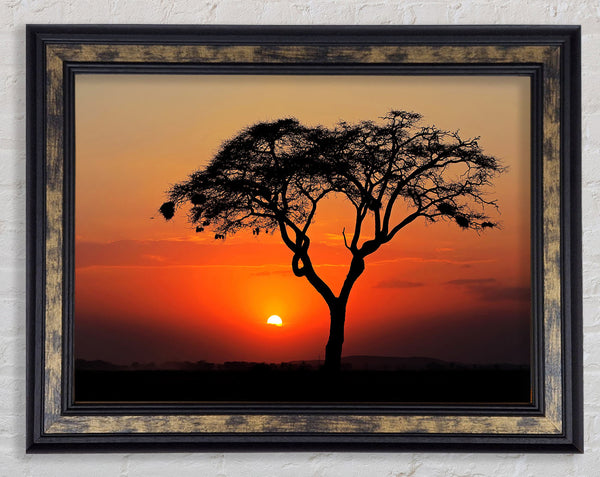 African Sunset