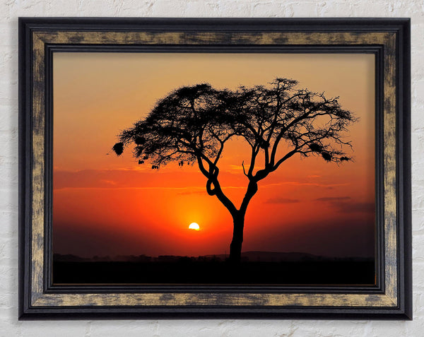 African Sunset