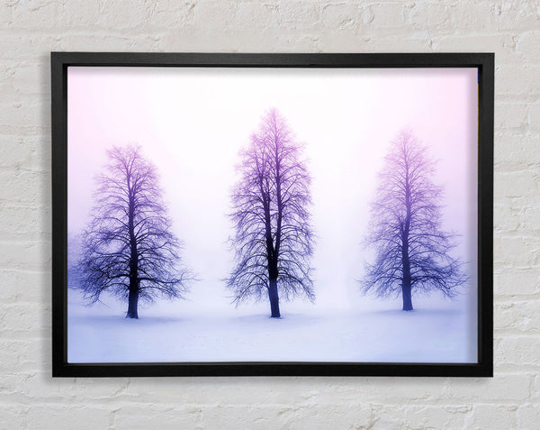 Purple Winter Trees