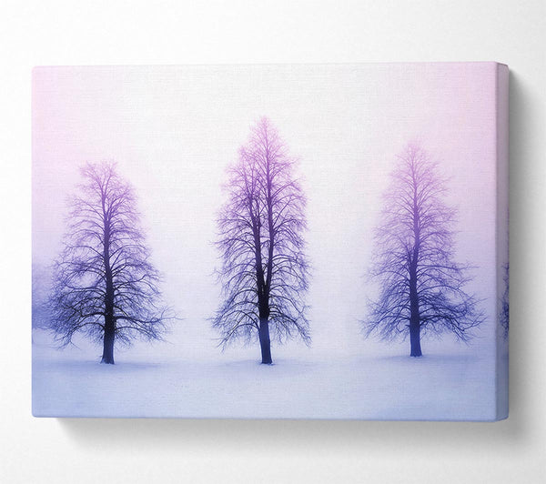 Purple Winter Trees