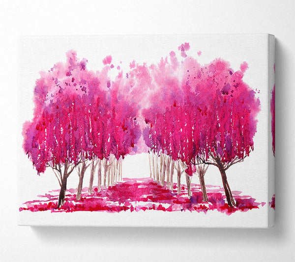 Pink Tree Walk