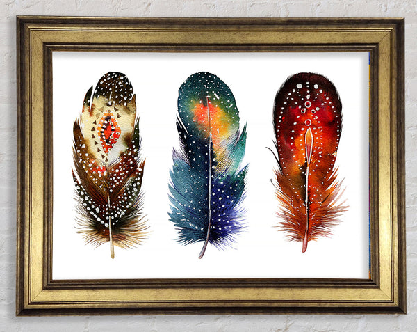 Indian Feathers