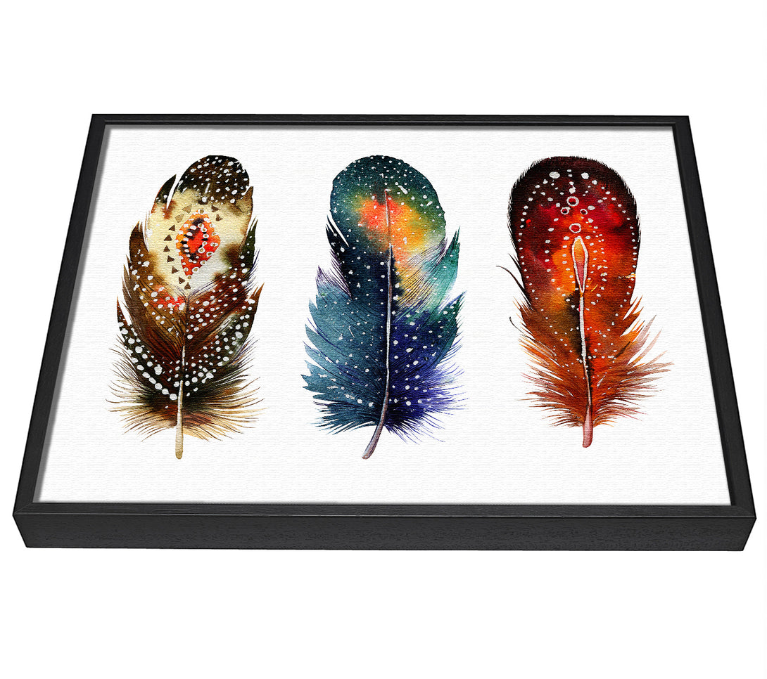 A picture of a Indian Feathers framed canvas print sold by Wallart-Direct.co.uk