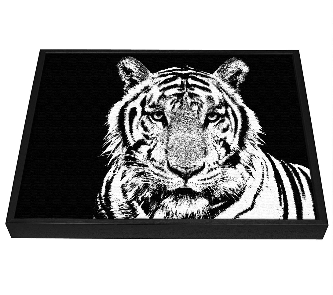 A picture of a Stunning Tiger Face framed canvas print sold by Wallart-Direct.co.uk