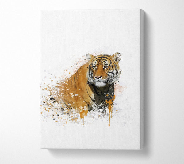 Tiger Splash