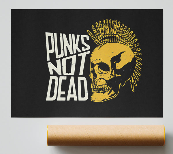 Punks Not Dead 1