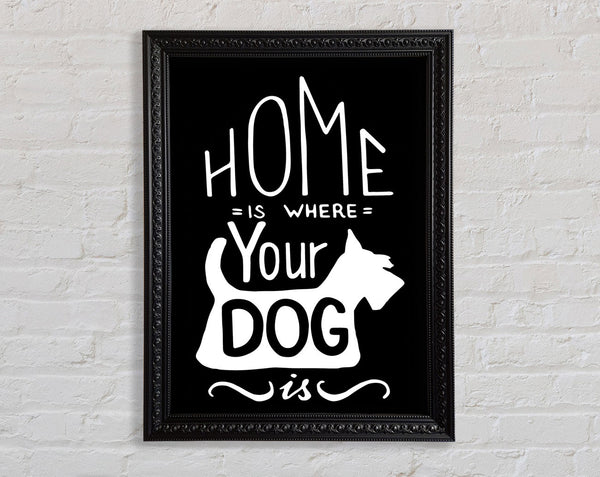 Home Is Where Your Dog Is 1