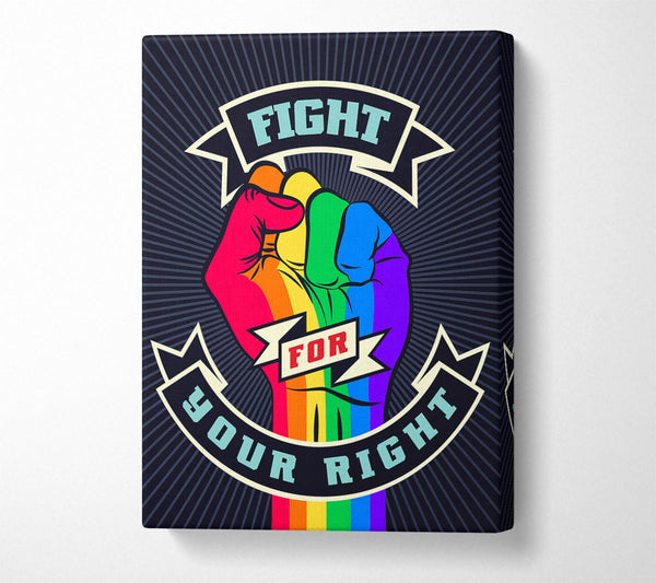 Fight For Your Right