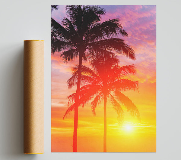 Sunset Palm Trees