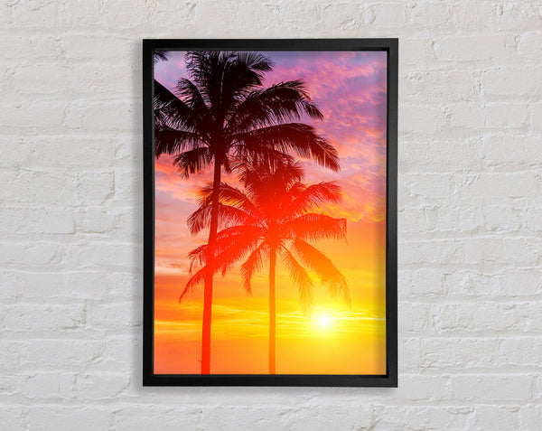 Sunset Palm Trees