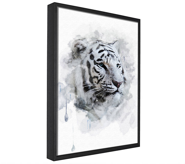 A picture of a White Tiger Blue Eyes framed canvas print sold by Wallart-Direct.co.uk