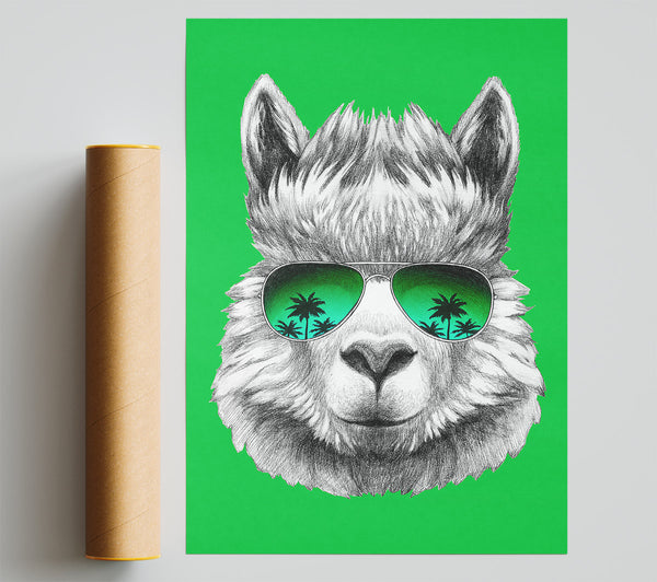 Llama Cool