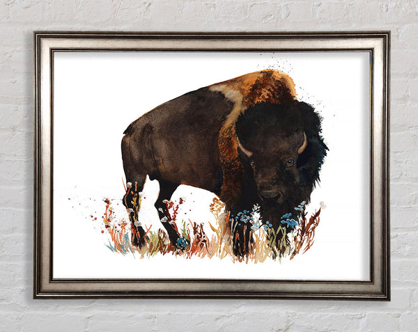 Bison Love