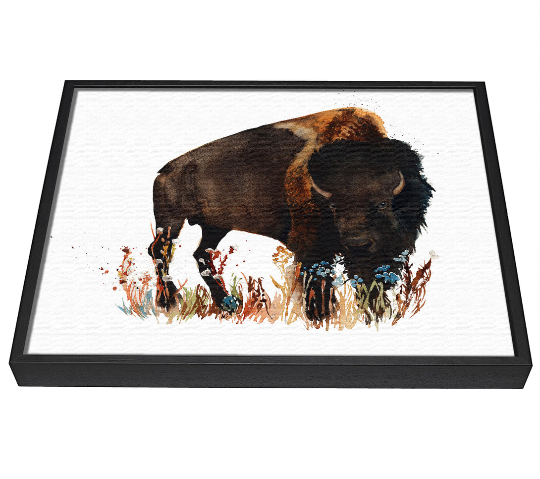 A picture of a Bison Love framed canvas print sold by Wallart-Direct.co.uk