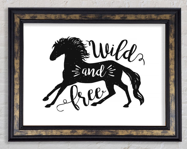 Wild And Free Like A Horse