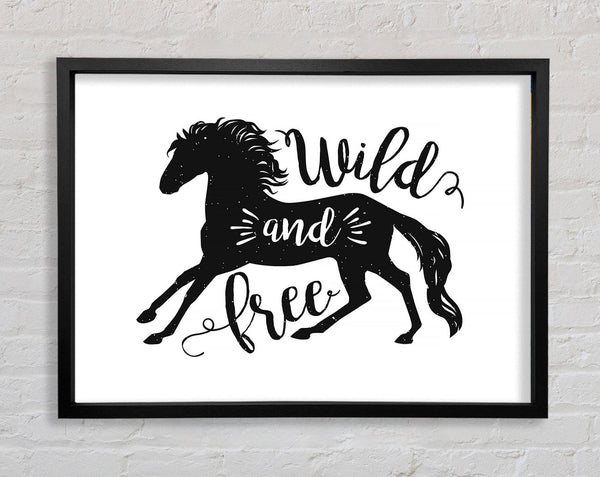 Wild And Free Like A Horse